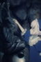 Nonton Film GHOST CONCERT : missing Songs Season 1 Episode 4 Sub Indo Nonton Film GHOST CONCERT : missing Songs Season 1 Episode 4 Sub Indo